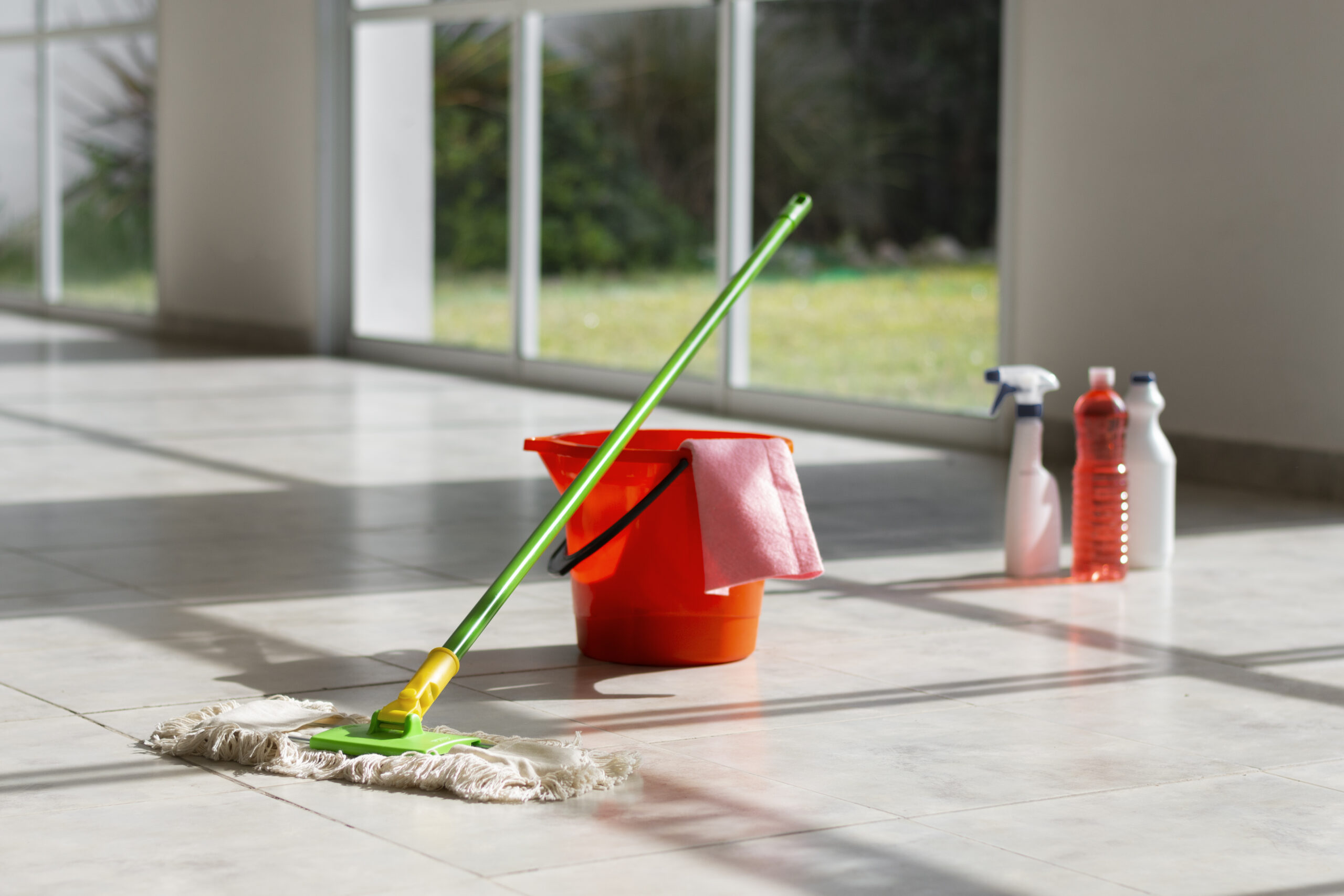 Orlando Florida skyline service area for Ericia Cleaning Services